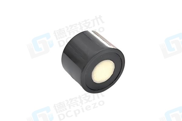 DC-SG-300kPS Wide-Angle
