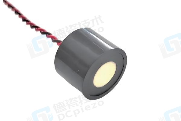 DC-SG-300kPS High Sensitivity